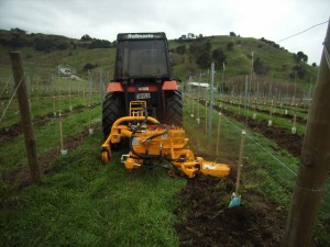 Undervine Mower, tiller Caleroni Brand
