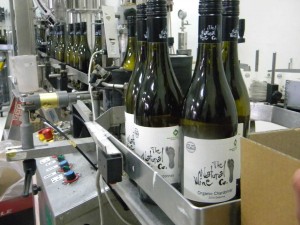 The Natural Wine Co Chardonnay Gisborne, coming off the bottling line.