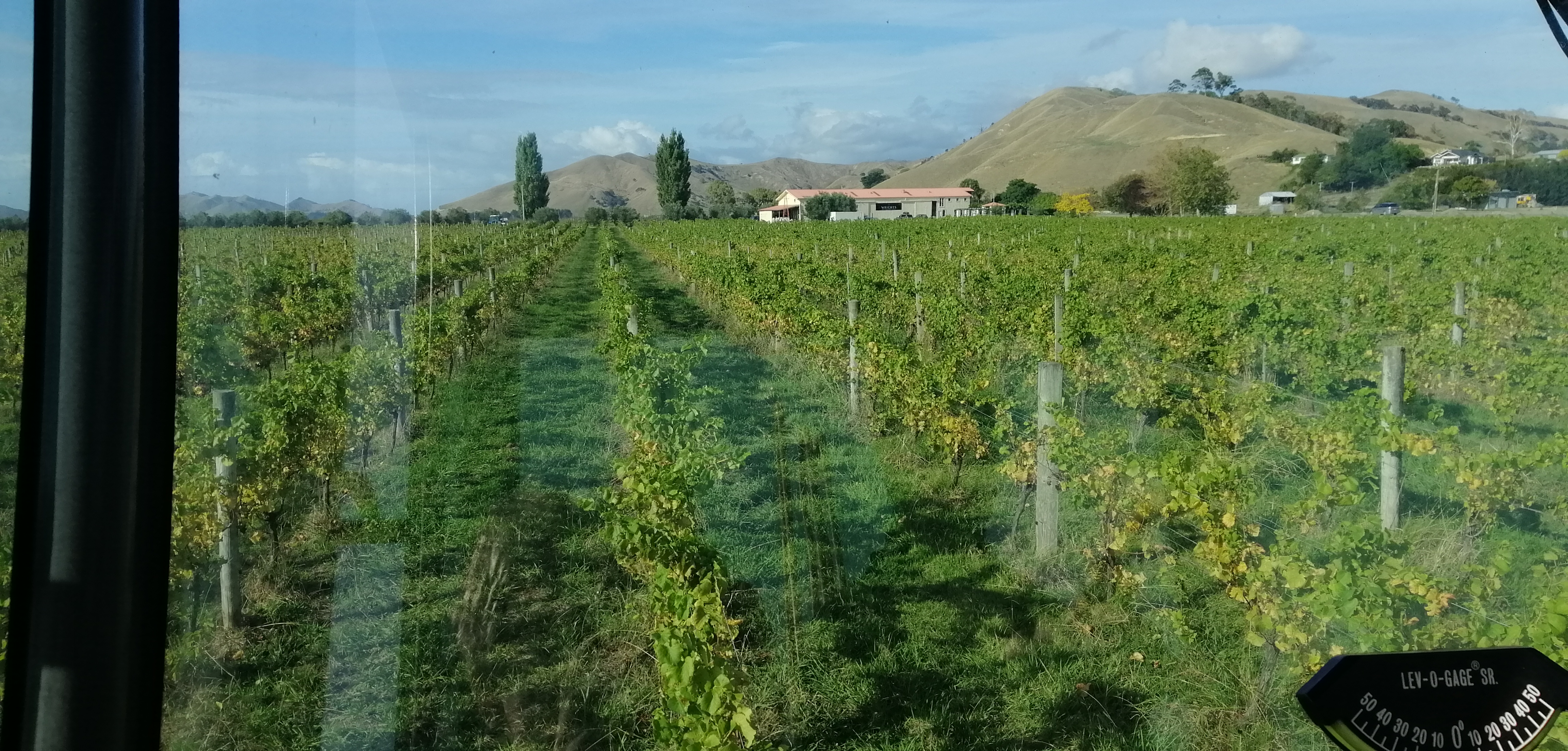 vineyard from tractor