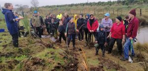 Native Planting Volunteers