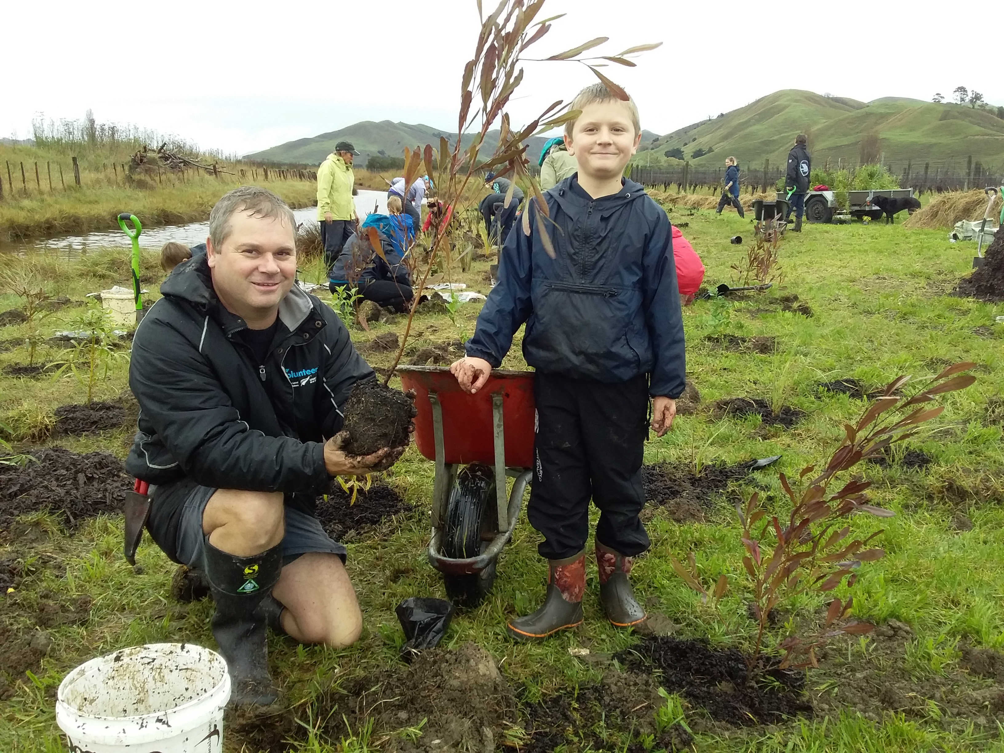 Native Planting Salt Marsh Reserve