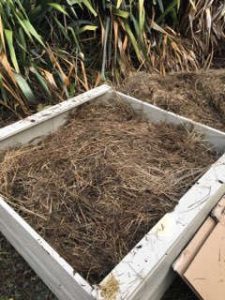 5th layer Straw Grass