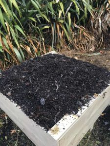 Compost Planter Box